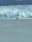 Hubbard Glacier with boat