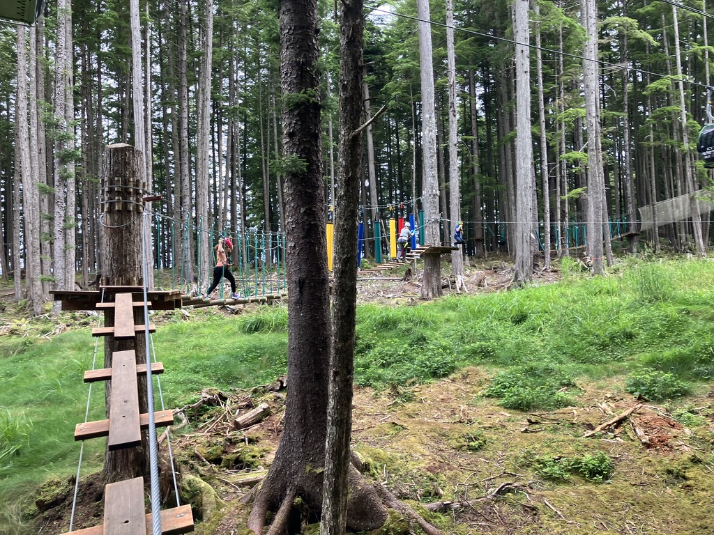 obstacle course