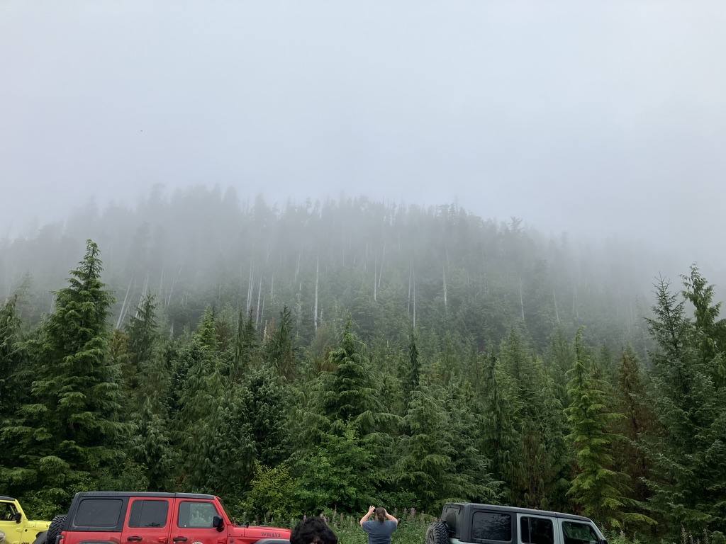 Jeep view